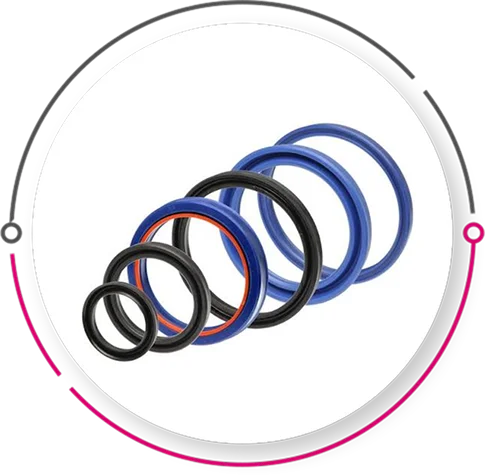 Rod Seals